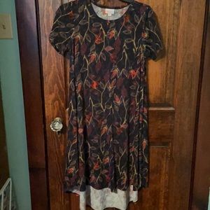 Lularoe Carly Dress